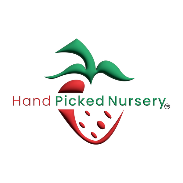 Hand Picked Nursery